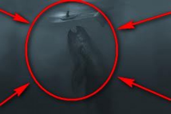 Что можно купить в кракене